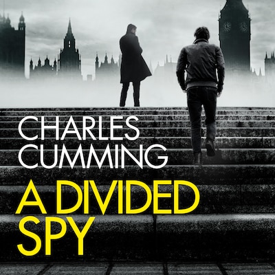 A Divided Spy